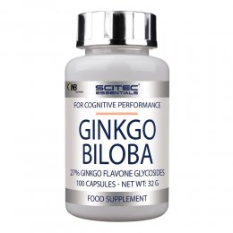 Ginkgo Biloba 60 mg 100 таб