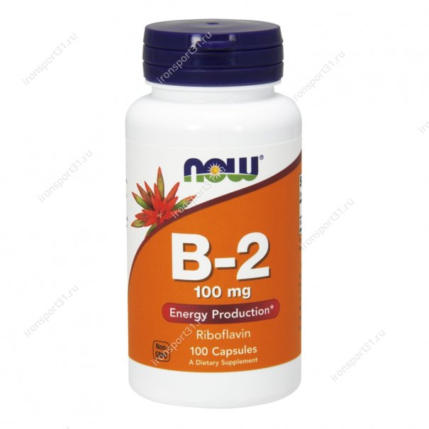 B-2 100 mg 100 капс