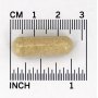 Cordyceps 750 mg 90 капс