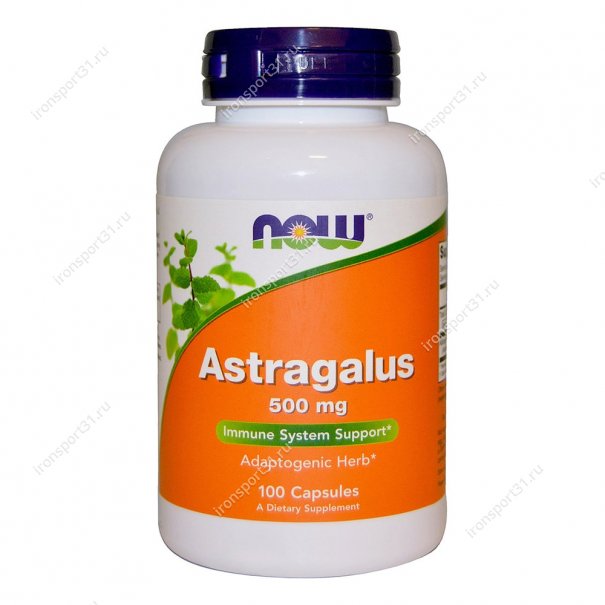 Astragalus 500 mg 100 капс